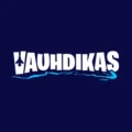 Vauhdikas Kasino