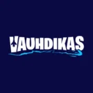 Vauhdikas Kasino